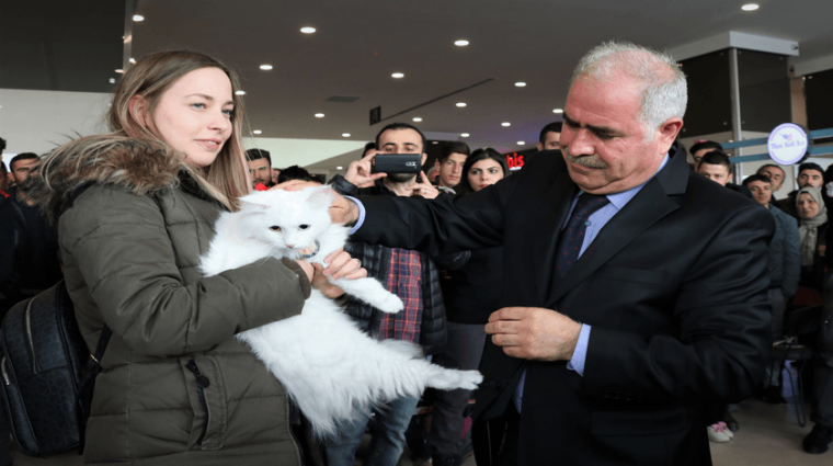 En güzeli 'Spak' seçildi 20