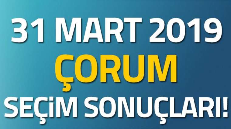 İl il seçim sonuçları 24