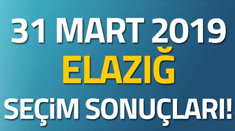 İl il seçim sonuçları 29