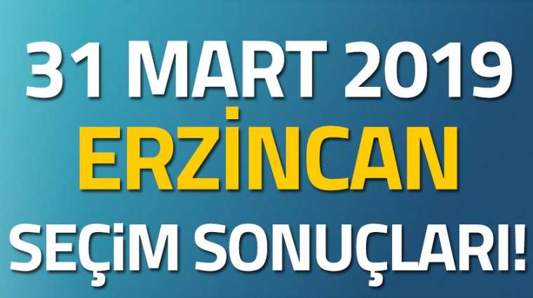 İl il seçim sonuçları 30