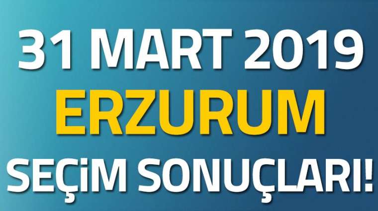 İl il seçim sonuçları 31