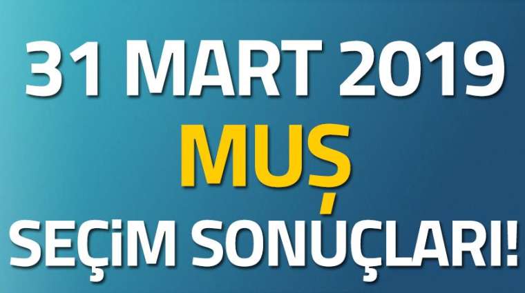 İl il seçim sonuçları 60