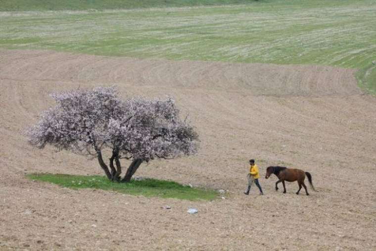 Herkes yurt dışı sanıyor ama burası Türkiye 4