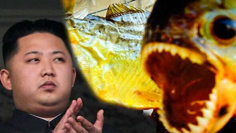 Kim Jong-un hakkında kan donduran iddia: Pirana dolu su tankına attı 1