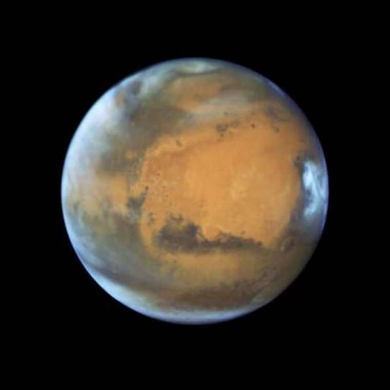 Dünyayı şoke eden fotoğraf... Mars'ta kuş mu yaşıyor? 10