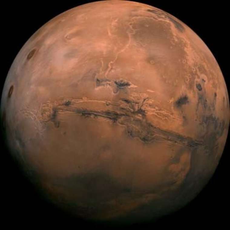 Dünyayı şoke eden fotoğraf... Mars'ta kuş mu yaşıyor? 2