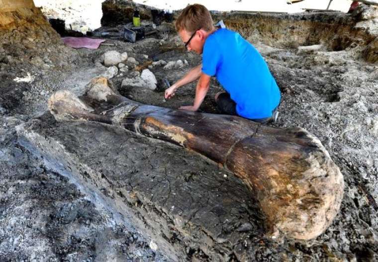 500 kiloluk kemik bakın neye ait çıktı 8