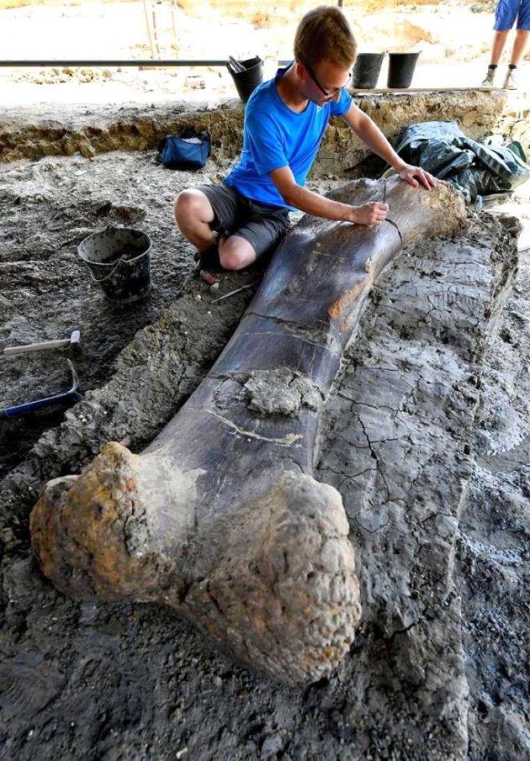 500 kiloluk kemik bakın neye ait çıktı 5