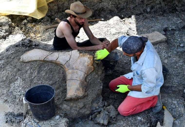 500 kiloluk kemik bakın neye ait çıktı 6