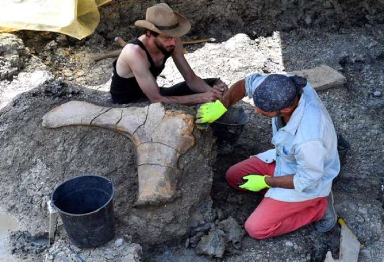 500 kiloluk kemik bakın neye ait çıktı 4