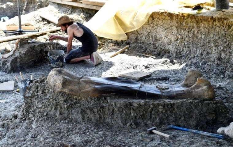 500 kiloluk kemik bakın neye ait çıktı 7