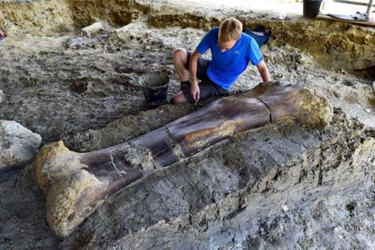 500 kiloluk kemik bakın neye ait çıktı 2