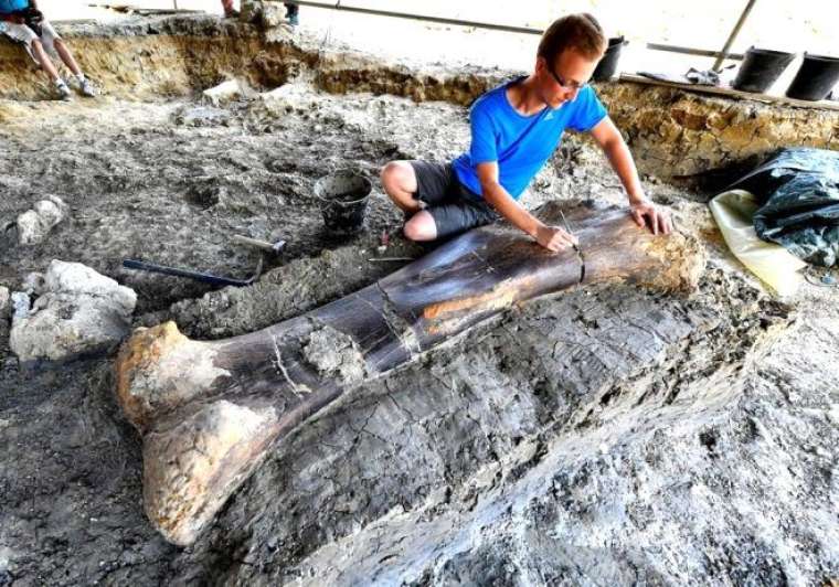 500 kiloluk kemik bakın neye ait çıktı 1