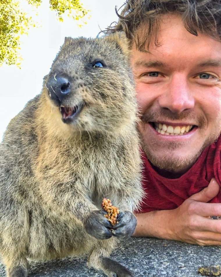 Selfie, yeni boyut kazandı! Herkesi kıskandıran meslek 31