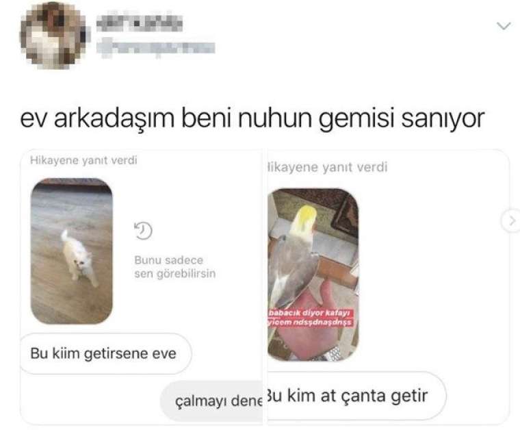 Tweetle herkesi güldürdü! Verdiği cevap... 112