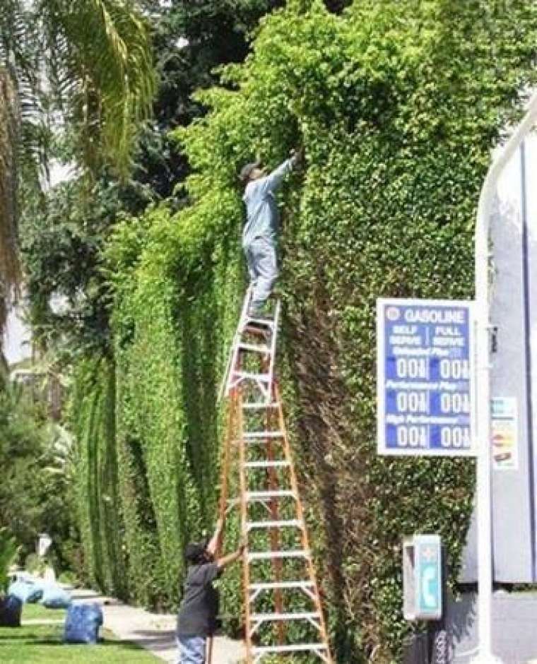 İmkansız denilen yere böyle çıktı! 30