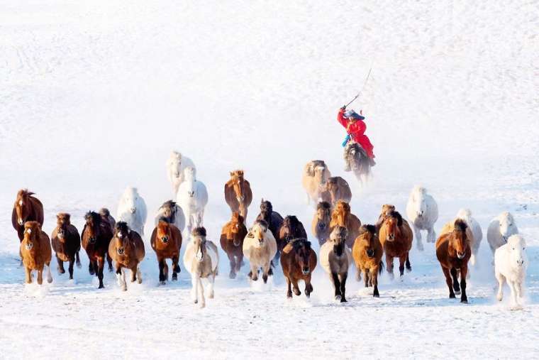 Binlerce başvurudan seçildi! 2019 yılının nefes kesen fotoğrafları 27