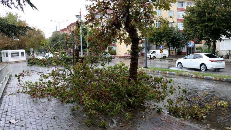 Yollar göle döndü, ağaçlar devrildi, çatılar uçtu! 12