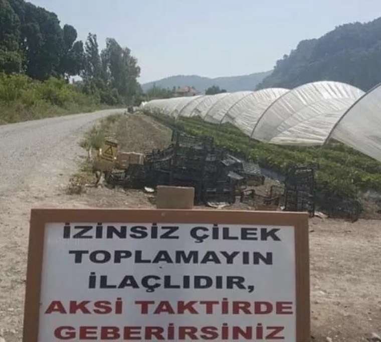 Yine güldürdüler! Yurdum insanı durmak bilmiyor 122