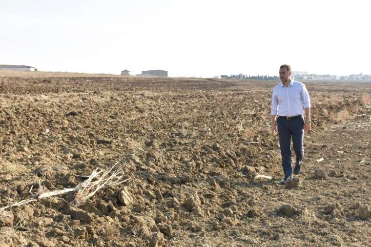 Silivri Belediyesi 300 dönüm arpa tohumu ekti 15