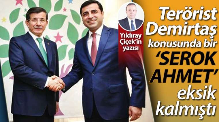 Terörist Demirtaş konusunda, bir ''Serok Ahmet'' eksik kalmıştı