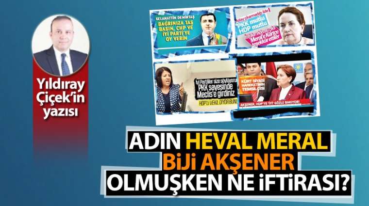 Adın Heval Meral, Biji Akşener olmuşken ne iftirası?