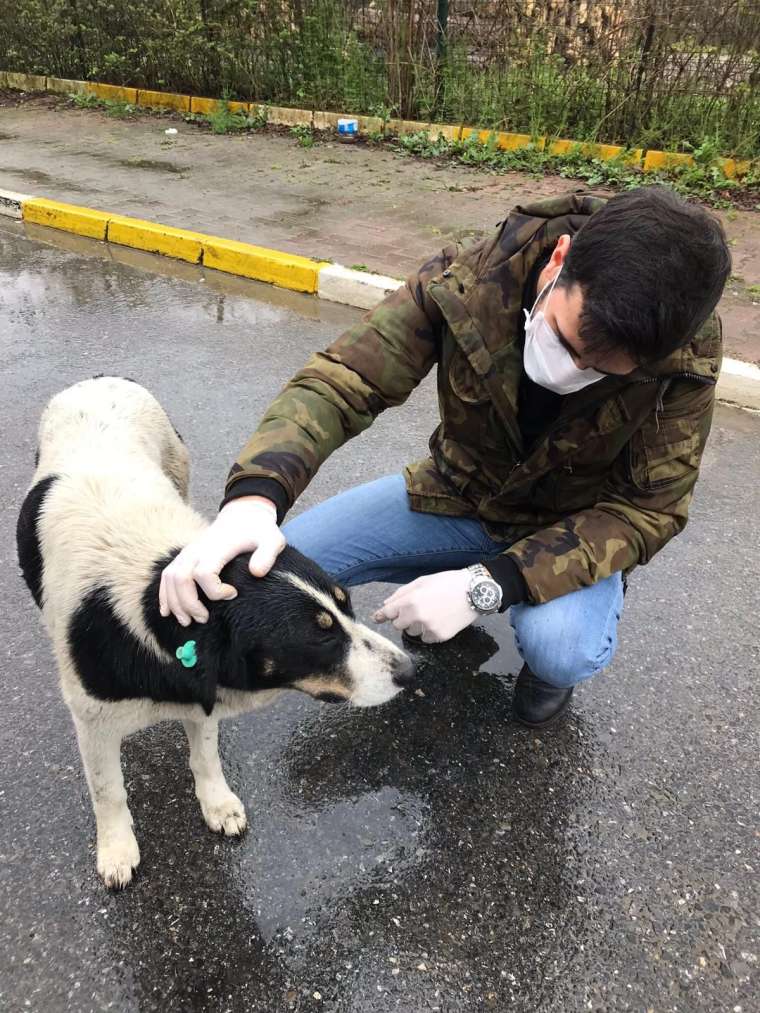 Ülkü Ocakları'ndan anlamlı proje 6