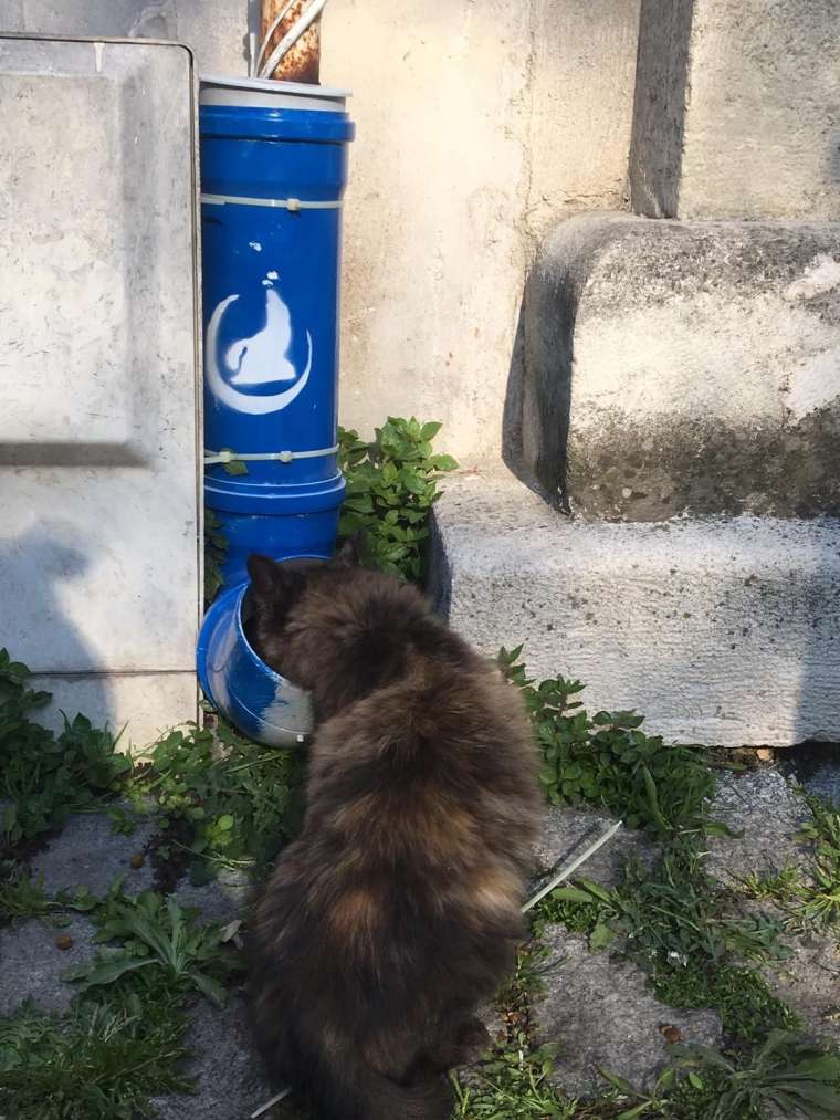 Ülkü Ocakları'ndan anlamlı proje 9