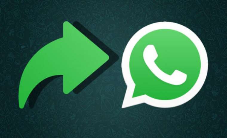 WhatsApp'a yepyeni bir özellik daha geliyor 10