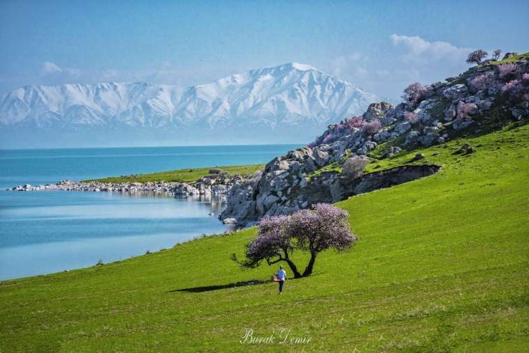 Çarpanak Adası'nın eşsiz güzelliği büyülüyor 9