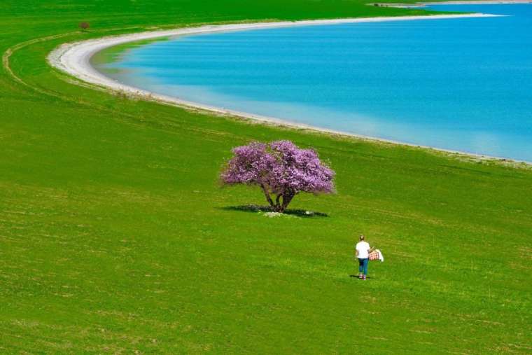 Çarpanak Adası'nın eşsiz güzelliği büyülüyor 5