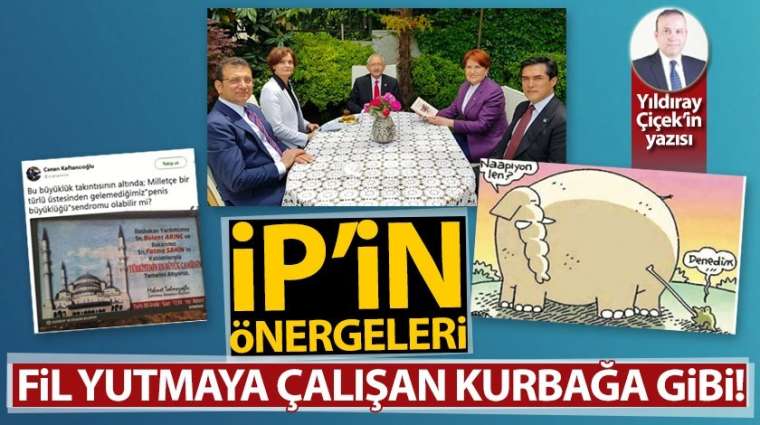 İP'in önergeleri fil yutmaya çalışan kurbağa gibi!