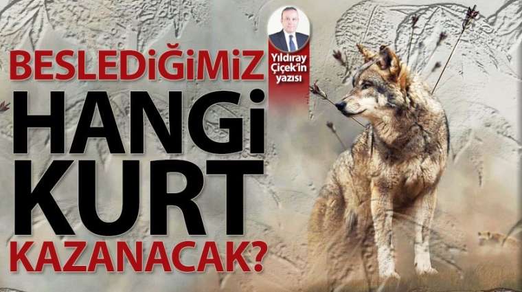 Beslediğimiz hangi kurt kazanacak?