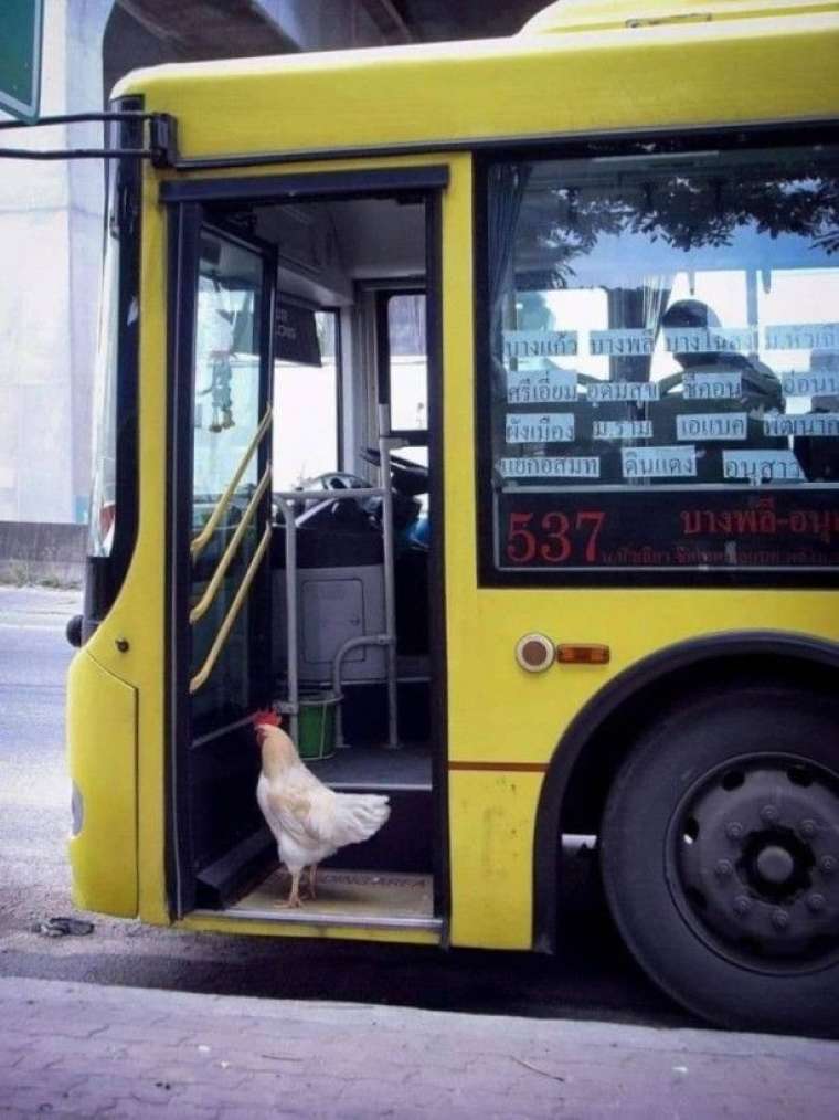 En çok bunlar paylaşıldı! Böylesi görülmedi... 11