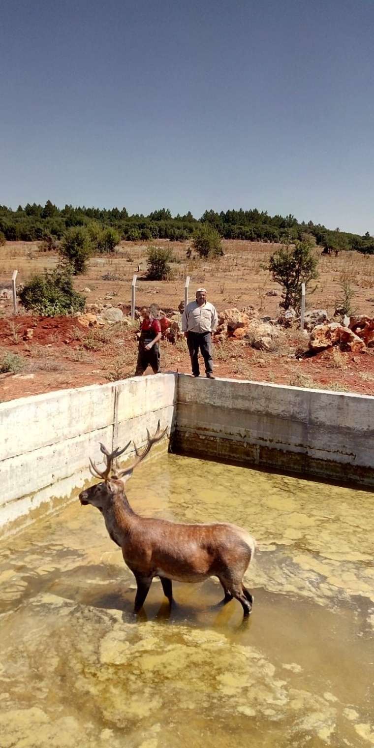 Şaşırtan olay! Ekipler müdahale etti... 2