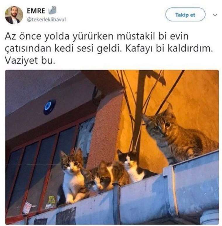 Elektrik faturası fazla gelince öyle bir şey yaptı ki... 82