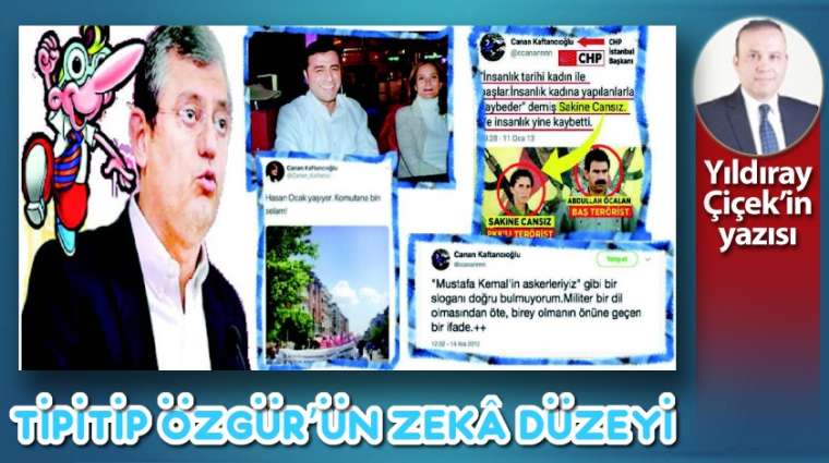 Tipitip Özgür'ün zekâ düzeyi