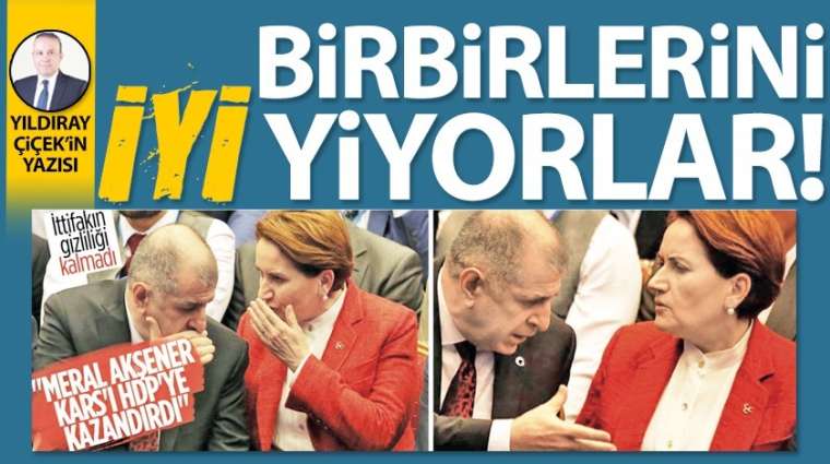 Birbirlerini iyi yiyorlar!