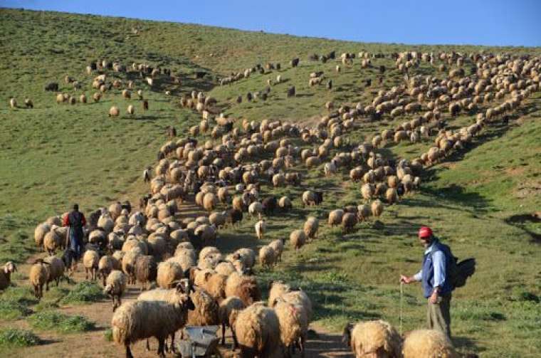 İşte sokağa çıkma kısıtlamasından muaf olanlar 10