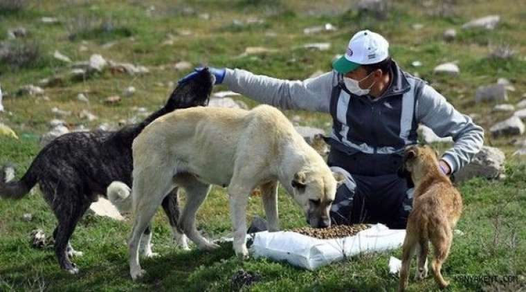 İşte sokağa çıkma kısıtlamasından muaf olanlar 19