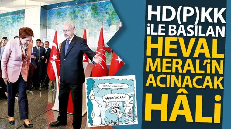 HD(P)KK ile basılan heval Meral'in acınacak hâli