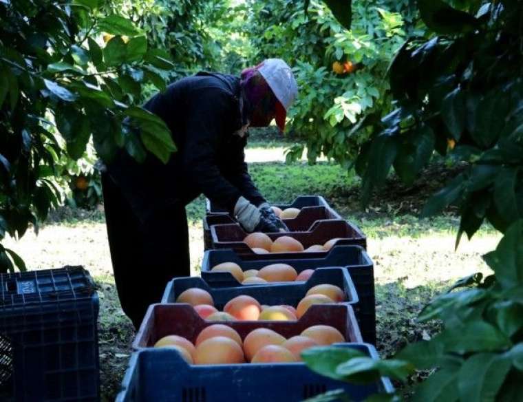 Birçok ülke atağa geçti! Altın çağını yaşıyor 5