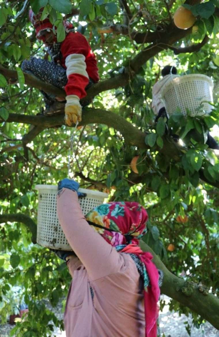 Birçok ülke atağa geçti! Altın çağını yaşıyor 4