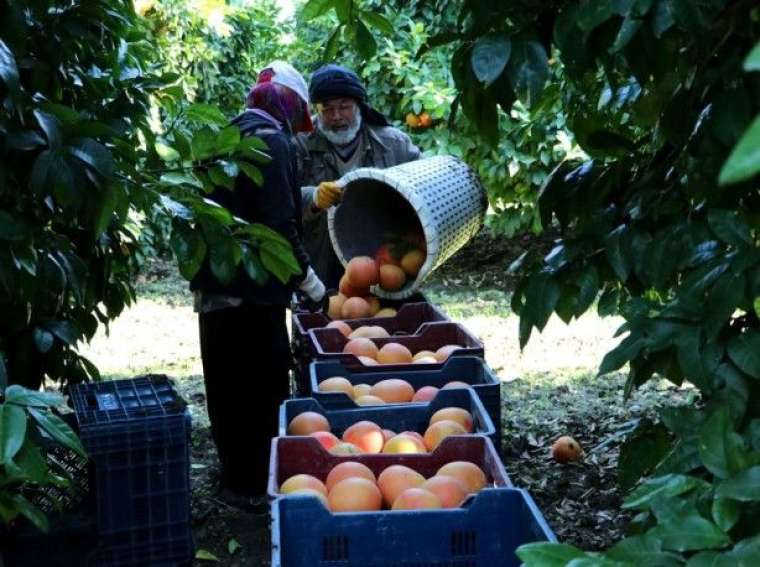 Birçok ülke atağa geçti! Altın çağını yaşıyor 1