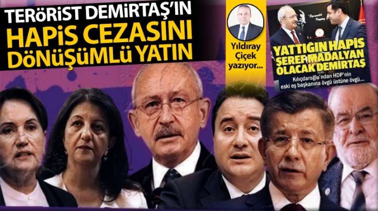 Terörist Demirtaş'ın hapis cezasını dönüşümlü yatın