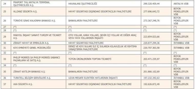 Türkiye'nin 2019 yılı vergi rekortmenleri belli oldu 13