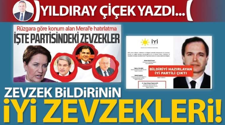 Zevzek bildirinin İYİ zevzekleri!