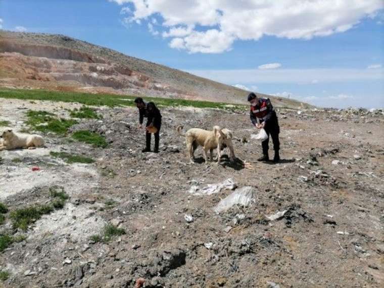 Jandarma'dan alkışlanacak hareket 3