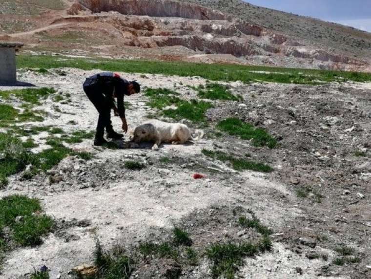 Jandarma'dan alkışlanacak hareket 2