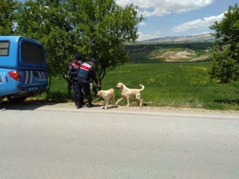 Jandarma'dan alkışlanacak hareket 1